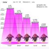 1000W (Çift Chips 10W LED) Full Spectrum Bitki Yetiştirme LED Lamba - Görsel 10