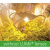 Lumii Grow Koruyucu Gözlük - Görsel 3