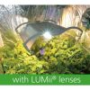 Lumii Grow Koruyucu Gözlük - Görsel 2