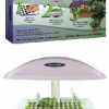 AEROGARDEN VİYOL - Görsel 2