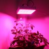 800w Full Spectrum Bitki Yetiştirme Lambası