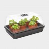 Isıtmalı Mini Sera 38X24.5X19.5cm