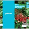 Netafim Aries Damlama Sulama Borusu 1m - Görsel 3