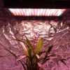 Mars Hydro II 1600 Bitki Lambası - Çiçeklenme Dönemi (Flowering Spectrum) - Görsel 2
