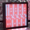 Mars Hydro II 1600 Bitki Lambası - Çiçeklenme Dönemi (Flowering Spectrum) - Görsel 3