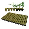 Grodan Rockwool - Kayayünü Plastik Viyol 25x25x40mm - 150 Gözlü