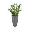 Elho - PURE SOFT - 50cm ANTRASİT Saksı