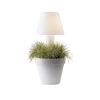 Elho - PURE Işıklı Saksı 50cm ŞEFFAF - Görsel 3