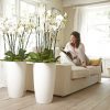 Elho - PURE SOFT - 50cm BEYAZ Saksı