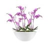 Elho - PURE SOFT OVAL 50cm - BEYAZ Saksı