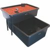 FISHPLANT (BALIKLI) AQUAPONIC AİLE SİSTEMİ - Görsel 3