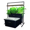 FISHPLANT (BALIKLI) AQUAPONIC AİLE SİSTEMİ