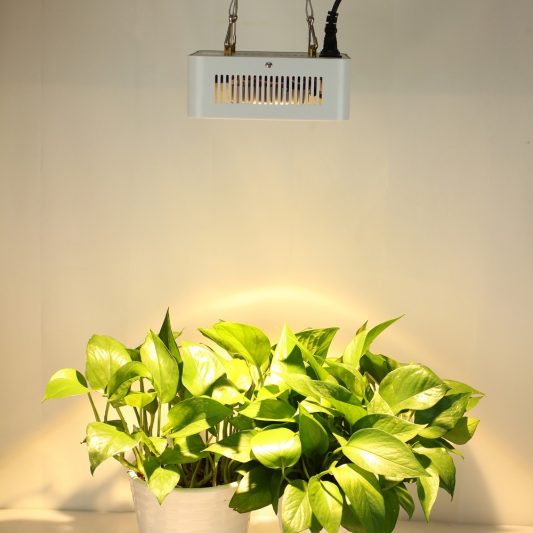 200w cob led bitki yetistirme lambası 2018 model