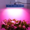 SOL 1800W Led Bitki Yetiştirme Lambası - Full Spectrum - Görsel 2