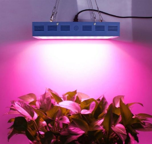 1800w COB LED bitki lambasi 4