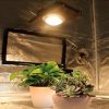 full spectrum led bitki lambasi samsung