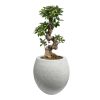 Büyük Beton Saksı 220 Litre - 46x70x70cm - Görsel 3