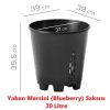 yaban mersini blueberry saksisi 30 litre