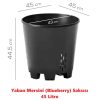 yaban mersini blueberry saksisi 45 litre