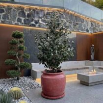 buyuk-beton-saksi-70x60cm