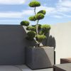 80x80cm kare beton saksi