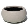 dekoratif buyuk bonsai saksisi 2