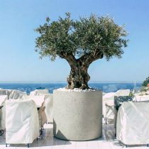 dev-buyuk-beton-silindir-saksi-100x100cm