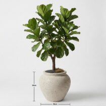 beton-kup-saksi-krem-olculu-50x50cm