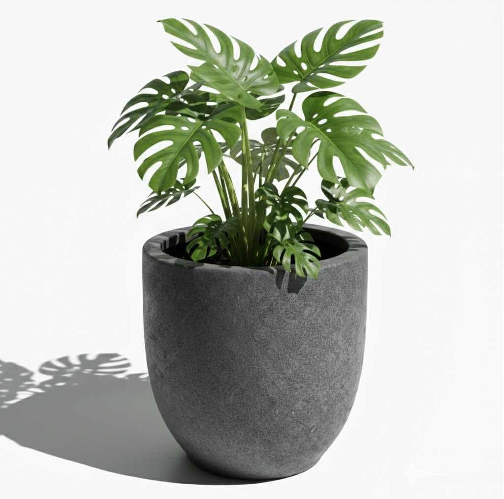 Hafif Beton Saksı 52x52x52cm 2 beton-saksi-52x52cm