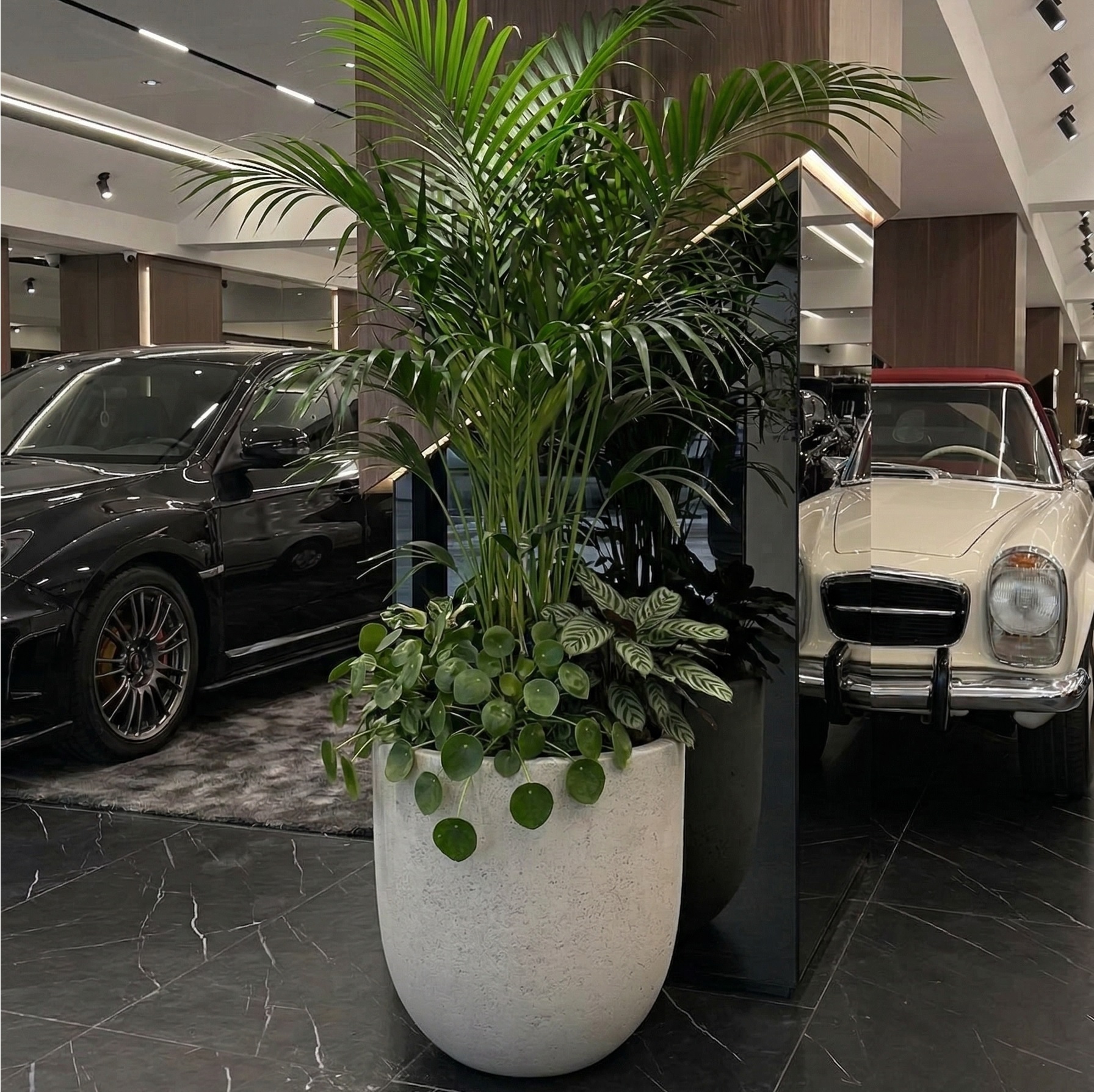 Hafif Beton Saksı 52x52x52cm 1 beton-saksi-krem-52x52cm