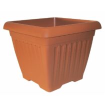 dis-mekan-buyuk-plastik-saksi